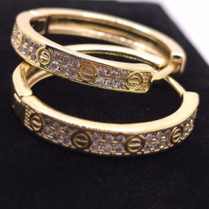 Radiant Luxe Huggie Hoops