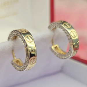 Radiant Luxe Hoop Earrings